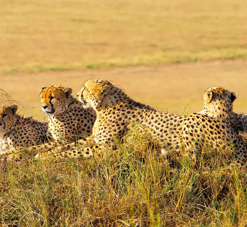 12-days-kenya-adventure-safari