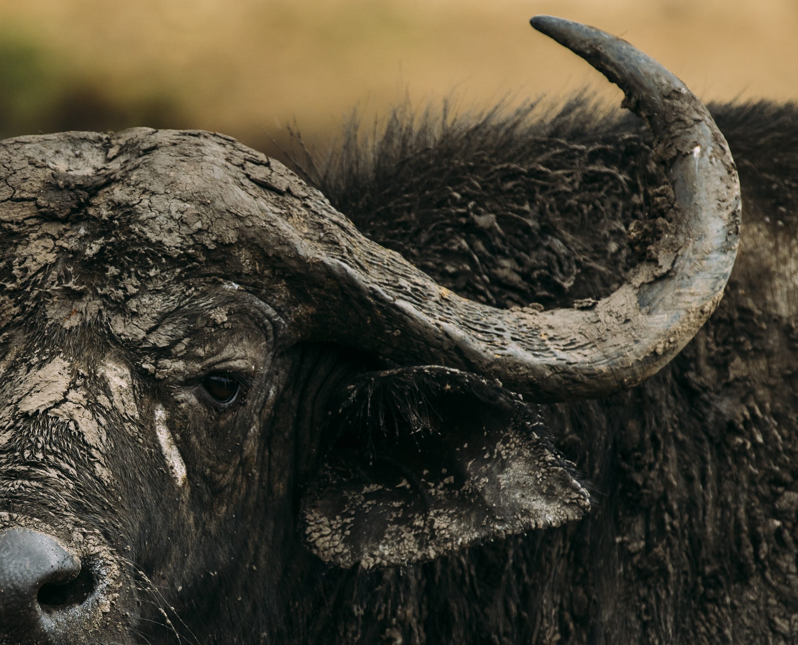 Kidepo Valley National Park